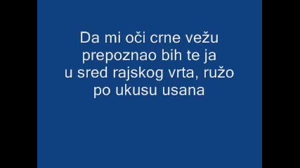Dado Polumenta - Divlja ruzo2010 (lyrics) 
