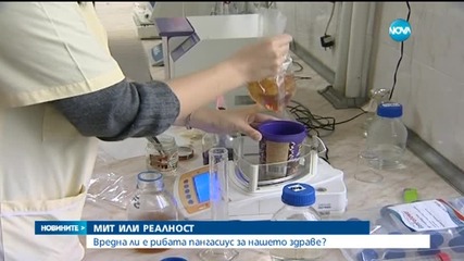 България внася между 35-40 хил. тона риба годишно