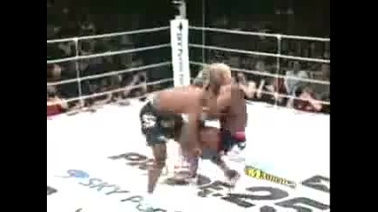 Mma and ufc Knockouts