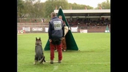 Orry von den Wannaer Hohen 