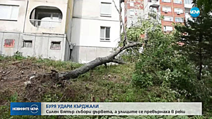Ураганът в Кърджали помете колата на бащата на Караянчева