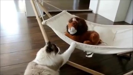 Ах, този непослушник !