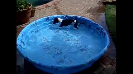 1, 2, 3, 4обиколки...