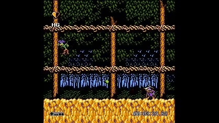 Nes - Darkwing Duck level 4