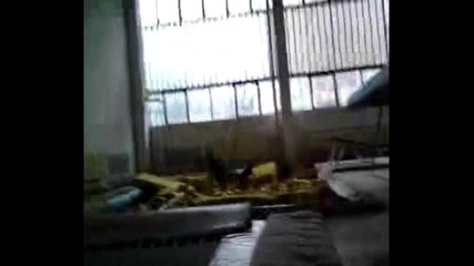 Double front flip in slow moution 
