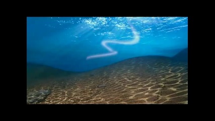 Трейлър на филма Спонджбоб: Гъба на сухо
