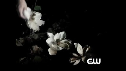 The Vampire Diaries Season 2 Cosmic Love Promo Video Downloa 