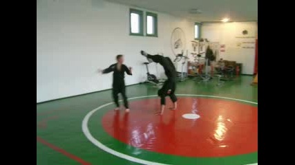 Kung Fu Toa Bulgaria