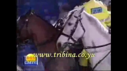 Football hooligans Chelsea compilation