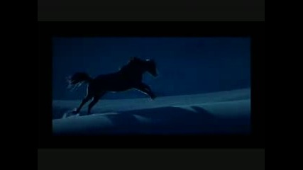 Hidalgo Horse Whisperer - Return To Innocence (enigma)