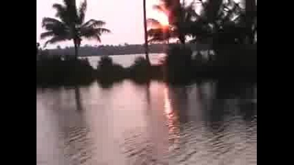 Goa Залези