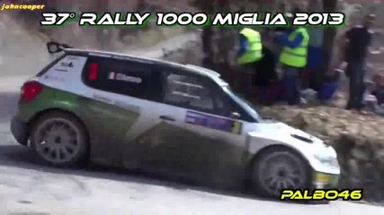 Rally 1000 Miglia 2013