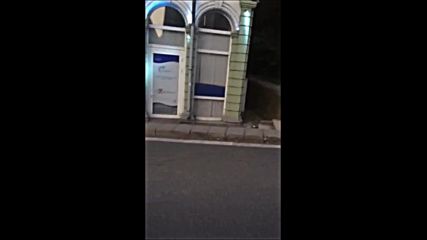 Лисица в центъра на Ловеч