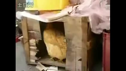 Г - н.каракачанов Изнасилва Бротално Г - н.волен Сидеров