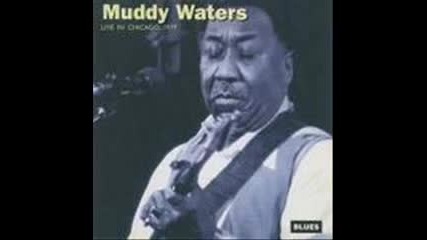Muddy Waters Mannish Boy