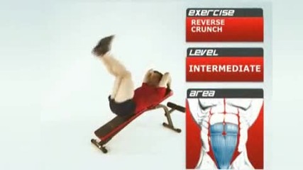 The Best Exercise for Lower Abs Getting Ripped