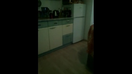 Vid_20141229_140506
