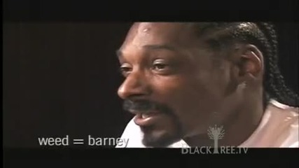 Snoop Dogg interview on Weed (s)