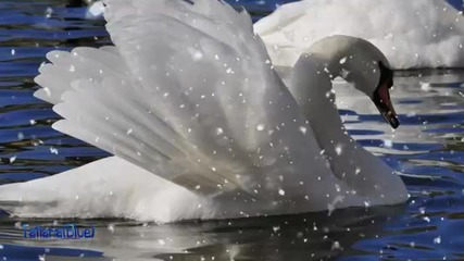Love Song in Winter - Richard Clayderman