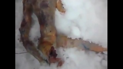 Извънземно намерено в Русия