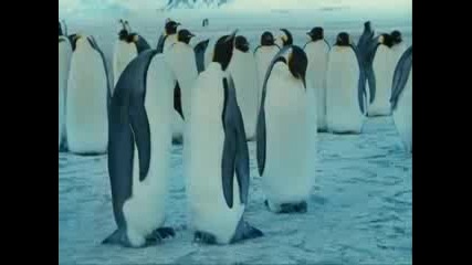 Смешни Пингвини
