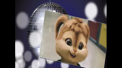 chipmunks