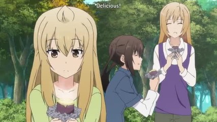 Minami-ke Tadaima 8