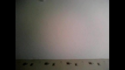 rexi_242_1