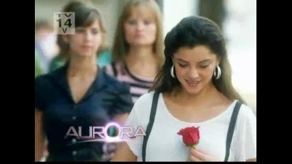 Aurora 82.5