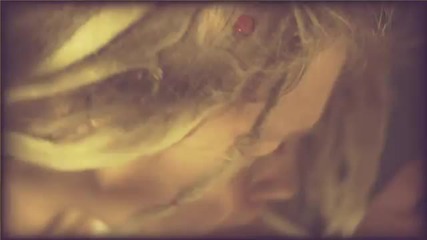 In Flames - Where The Dead Ships Dwell [hd]