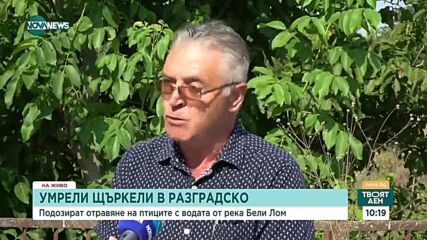 Мъртви щъркели в Разградско: Подозират отравяне на птиците от водата на Бели Лом