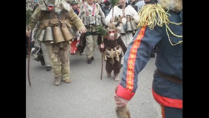 Surva Pernik 2013
