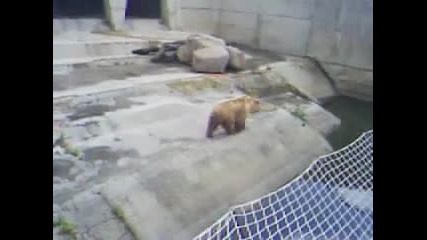 zoo baba Meca (1)