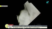 Чарли Дюк - най-младият човек стъпил на Луната пред NOVA