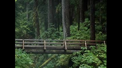 Kitaro - Symphony Of The Forest