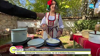 Отбелязват Фестивала на бозата в Радомир с надпиване с традиционната напитка