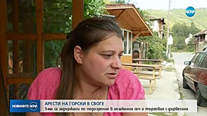АРЕСТИ В СВОГЕ: Петима горски са задържани по подозрение в незаконна сеч