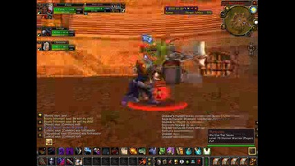 Wow Screens