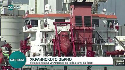 Пет страни искат удължаване забраната за внос на украинско зърно
