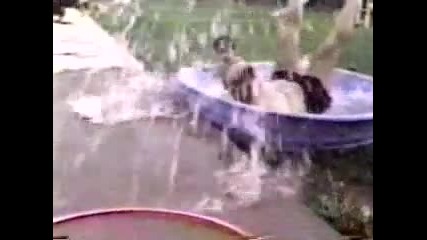 9 minutes crazy videos 2
