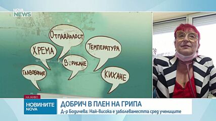 Д-р Галина Бодичева: Не можем да говорим за увеличена хоспитализация, свързана конкретно с грипа