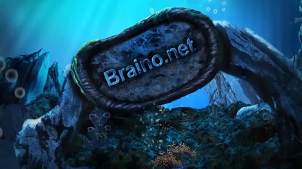 Best Brain Supplements