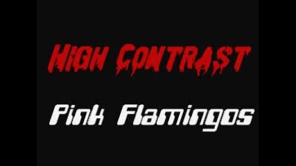 High Contrast - Pink Flamingos