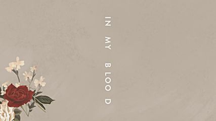 Shawn Mendes - In My Blood ( Audio )