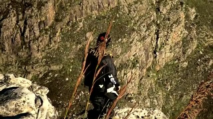 Всеки иска да го направи, но не на всеки му стиска 