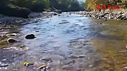 Шансон Песни о Жизни и Любви