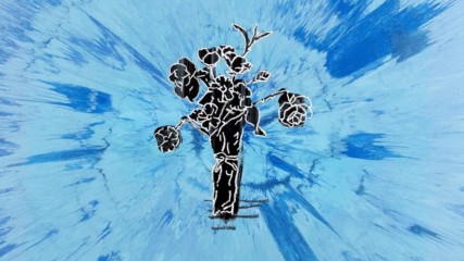 Ed Sheeran - Supermarket Flowers