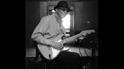 Hubert Sumlin - Still Playing The Blues