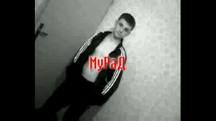 Muvee001.mp4