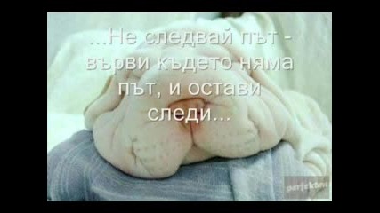 Картинки